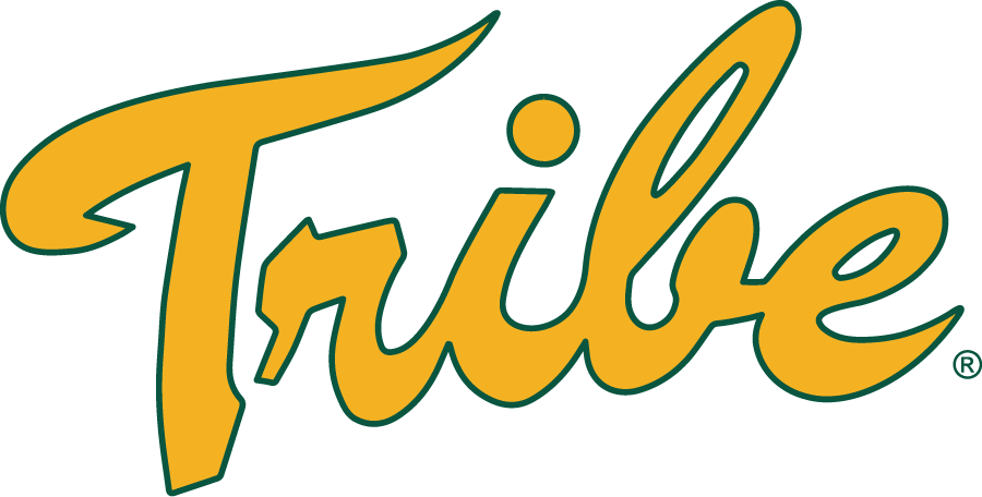 William and Mary Tribe 2007-2016 Alternate Logo v2 diy iron on heat transfer